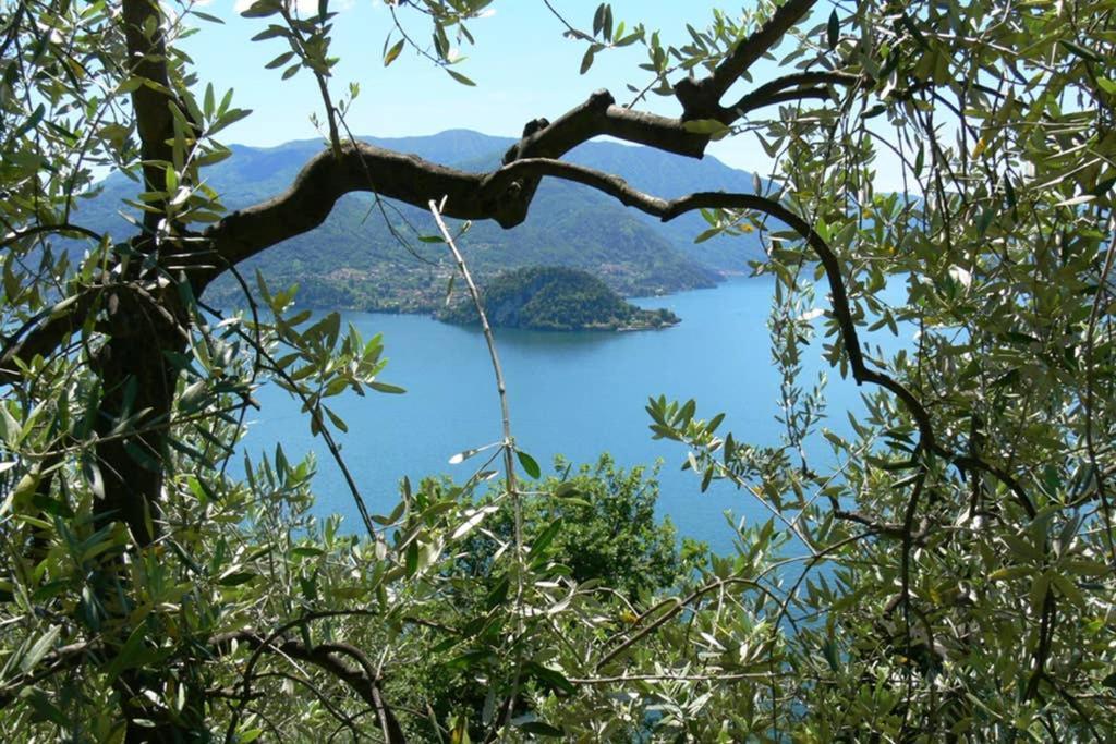 Luci Sul Lago - A Real Paradise Perledo Zewnętrze zdjęcie